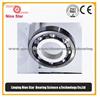 Electrically Insulated Bearing 6313C3VL0241