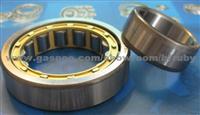 Cylindrical Roller Bearings
