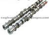 Nissan X-Trial Camshaft Assy 13020-AD202