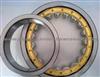 Cylindrical Roller Bearings NU303