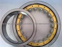 Cylindrical Roller Bearings NU204E