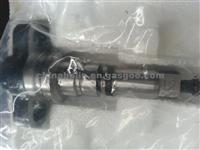 Bosch Plunger 2418455525