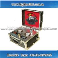 China Manufacturer Highland For Repair Factory Accurate Bench Tester Common Rail