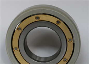 Bearing NU1019EMC3VL0241