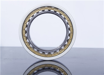 Bearing NU1020EMC3VL0241