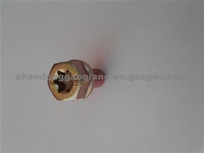 Drive Shaft Bolt V1220220100A0