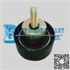 Ruian Belt Tensioner Pulley For Iveco 2852398/504065877/004892356/4892356/04892356
