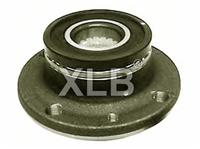 Wheel Hub, 46519901/ C256/ BAF0040B
