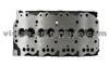 Cylinder Head For BD30 11039-69T03/AMC909 018