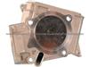 WATER PUMP-KIA RIO 069.0019.01