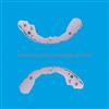 Brake Shoe S806/S965 (Factory)