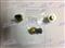 Oil Pressure Sensor For Dodge Cummins 2-27091 56045391AB AS370 5S5457 SU3196 72-2578 1904-303926 EC1854 2-27091 4921505 - img2