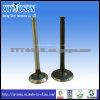 All Models Engine Valve For Isuzu