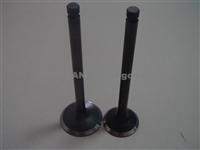 Intake & Outlet Engine Valves For Hyundai Elantra (Korea Vehicle)