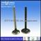 All Models Engine Valve For Isuzu