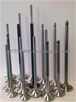 Marine Engine Valve & Valve Seat For All Models (MAN)