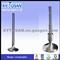 Intake & Exhaust Engine Valves For Vessel 45GH