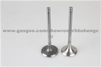 Intake And Exhaust Valves For BJ415B