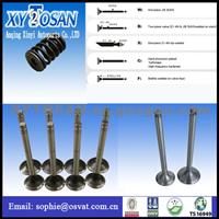 Auto Engine Valve And Seat