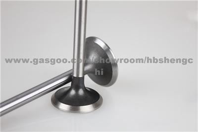 Intake And Exhaust Valves For Hyundai VVT