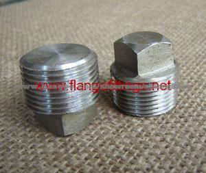 ASME Forged Stainless Steel Square Head Plug