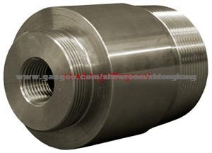 Carbon Steel A105 Bull Plug