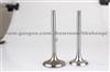 Competitive Price Intake And Exhaust Engine Valves For Mitsubishi 4G18