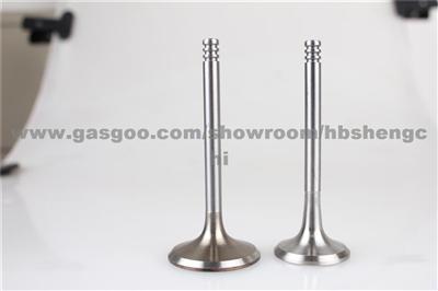 Competitive Price Intake And Exhaust Engine Valves For Mitsubishi 4G18