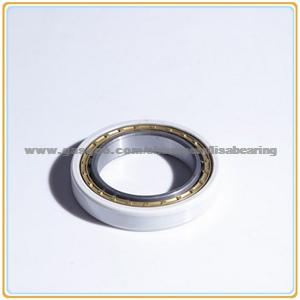 Insualted Roller Bearing NU238EM/C3Vl0241