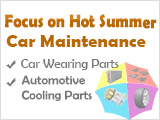 Summer Car Maintenance