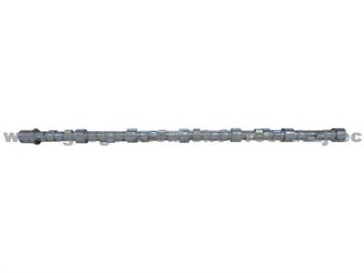 Steel camshaft 12 cyl.