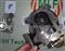Turbocharger 14411-31N03 TD27 For Car - img4