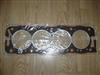 Cylinder Head Gasket For Peugeot 2.5l Diesel