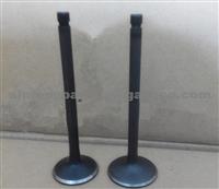 Engine Valve For Nissan Z24