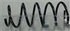 Suspension spring BZ70162