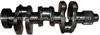 3D84 Yanmar Crankshaft