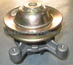 Water Pump 5005036