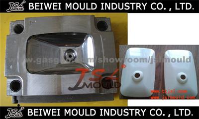 Car Side Mirror Cover Mould