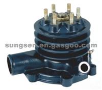 Water Pump For Hyunday D6BR 25100-93G00