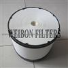 RE196945 P619334 CA5417 John Deere Air Filter