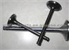 High Quality Engine Valve For Komatsu S6D110