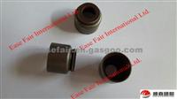 Valve Rod Oil Seal 1007-00102