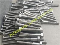 Special wood thread bolt