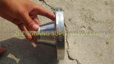 Alloy20 Flanges