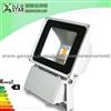 80W Cool White IP66 LED Flood Light