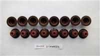 Valve Seal 24102203