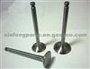 Engine Valve For Toyota B