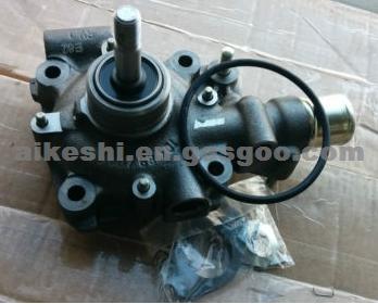 Water Pump 500300476