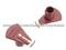 Distributor Rotor 19102-11031