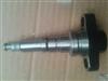 Longkou Longbeng Plunger P542
